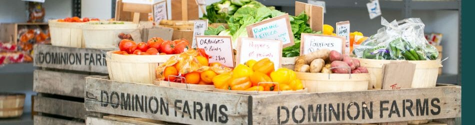 Image of baskets of produce in the Daily Bread Food Bank